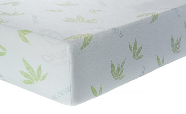 Aloe vera corner
